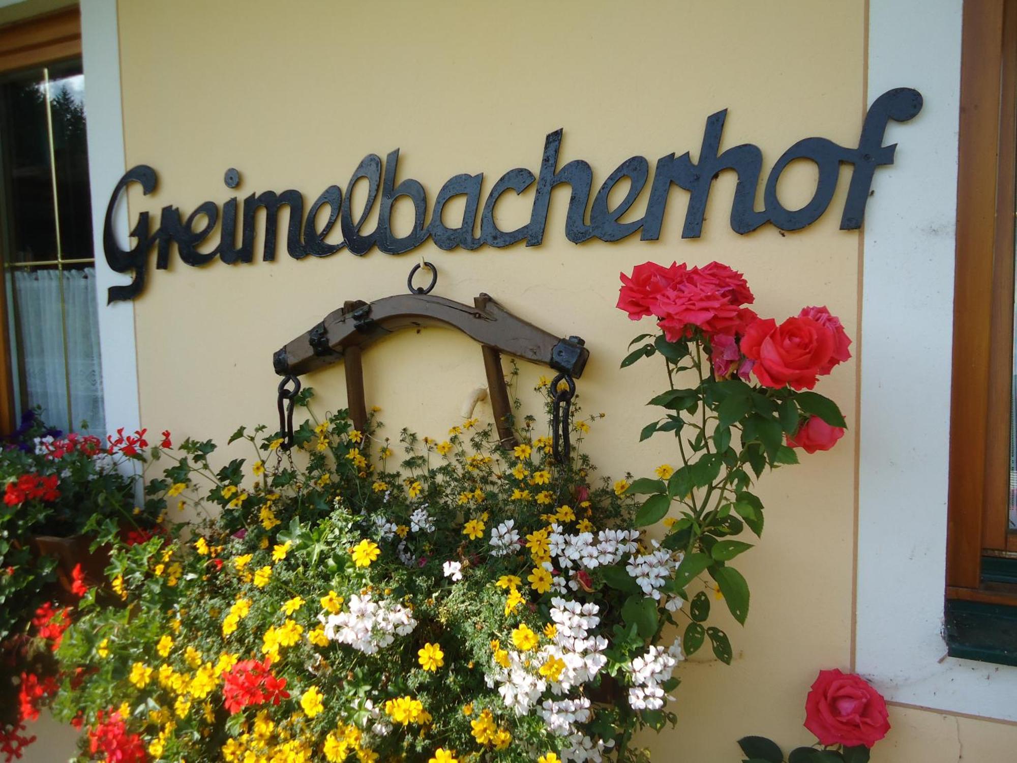 Pension-Greimelbacherhof Рамзау ам Дахщайн Екстериор снимка