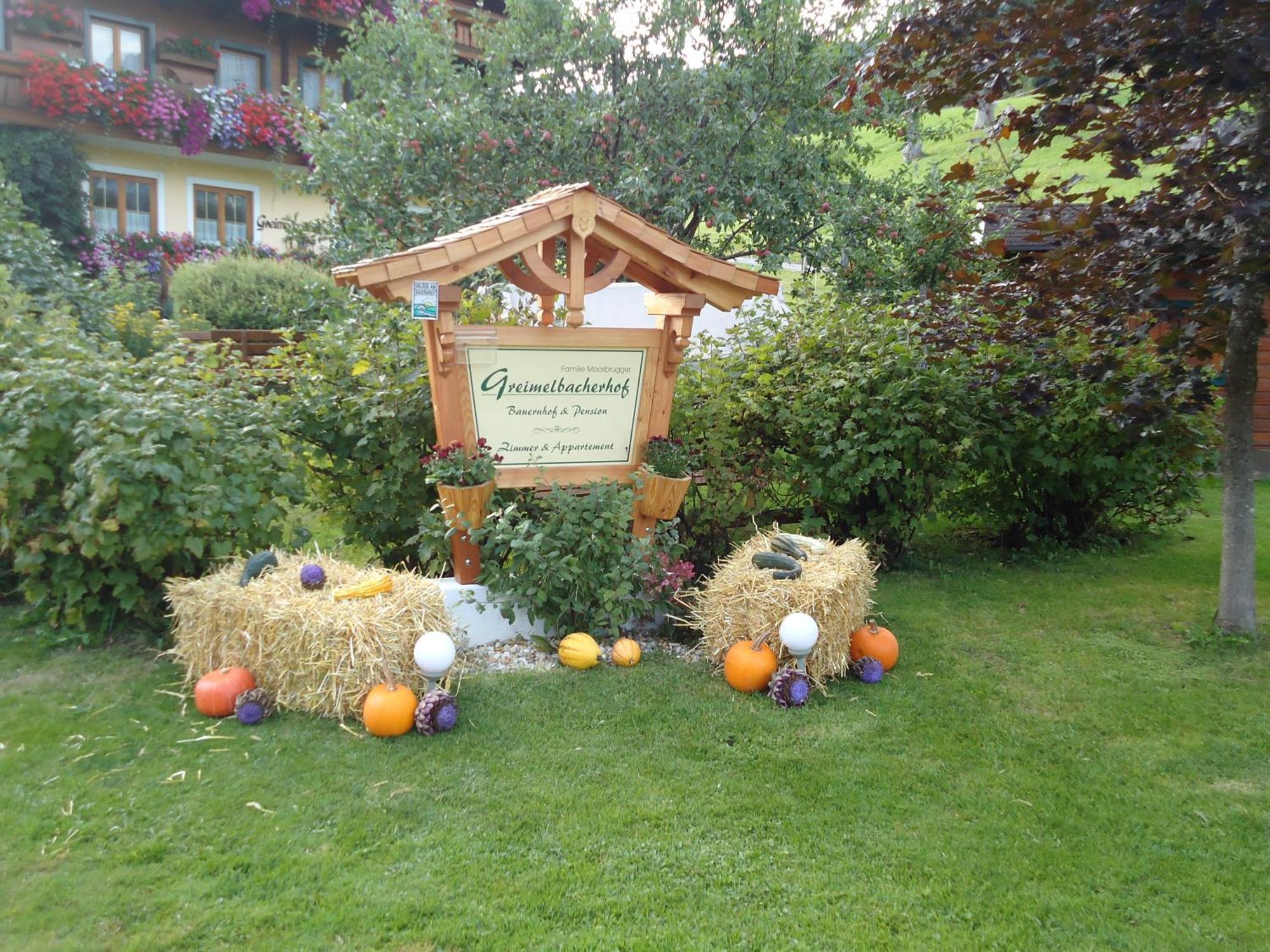 Pension-Greimelbacherhof Рамзау ам Дахщайн Екстериор снимка
