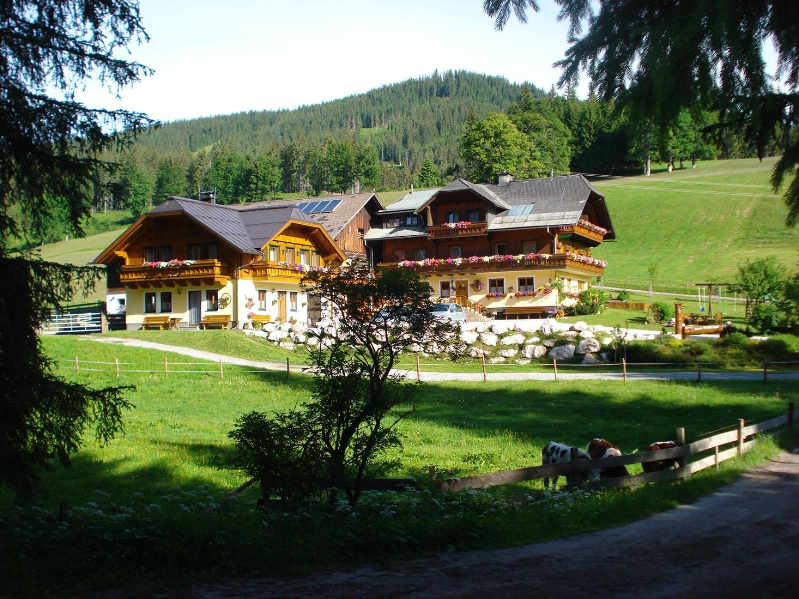 Pension-Greimelbacherhof Рамзау ам Дахщайн Екстериор снимка