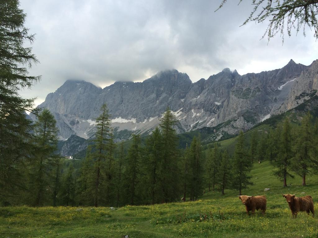 Pension-Greimelbacherhof Рамзау ам Дахщайн Екстериор снимка