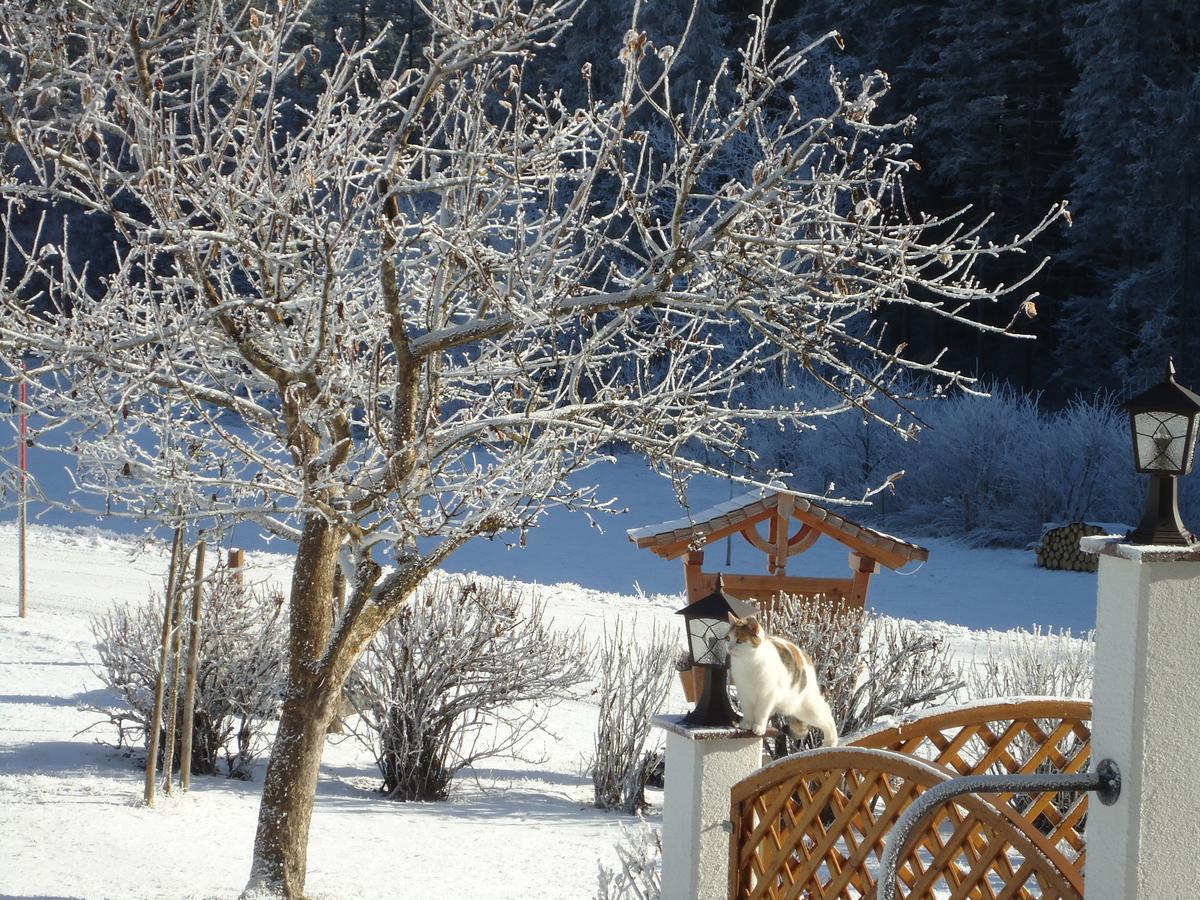 Pension-Greimelbacherhof Рамзау ам Дахщайн Екстериор снимка