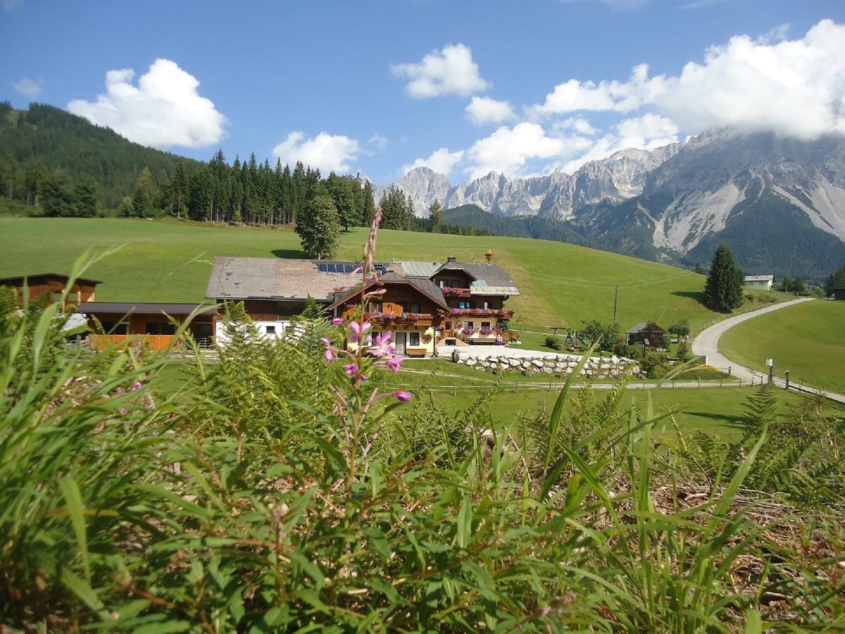 Pension-Greimelbacherhof Рамзау ам Дахщайн Екстериор снимка