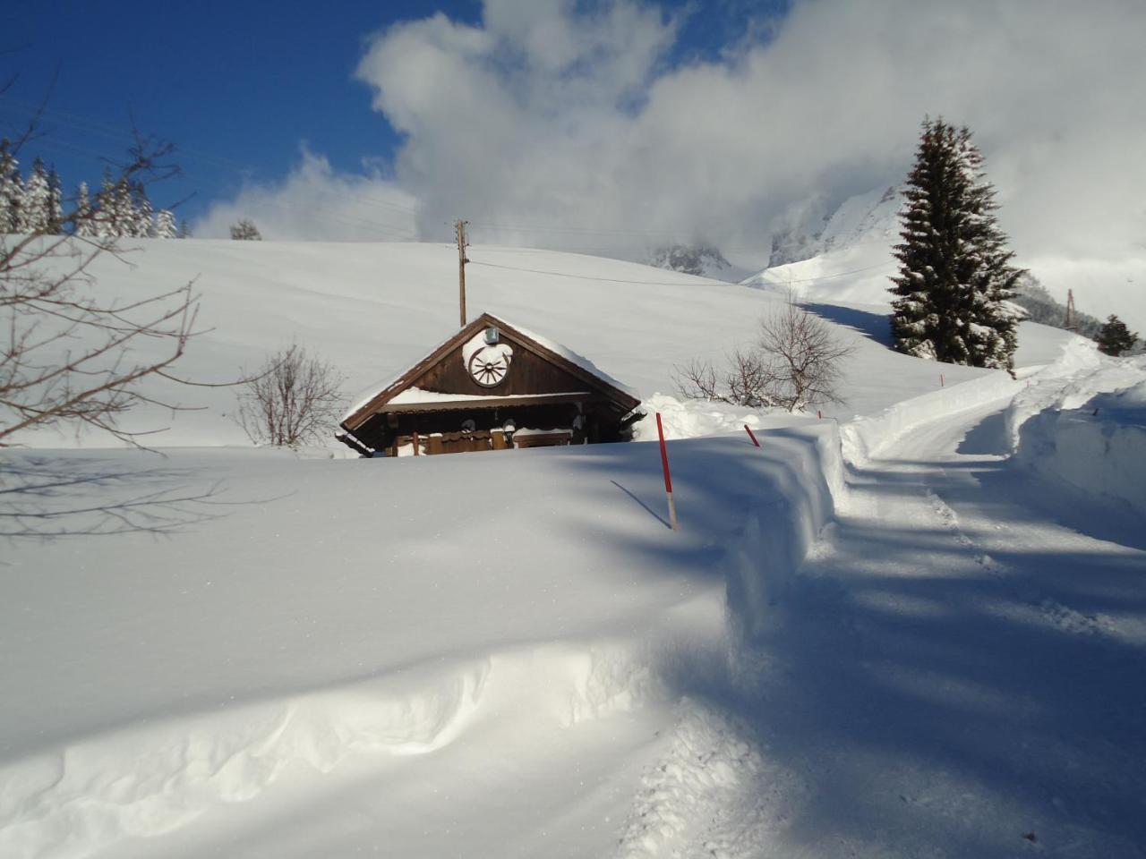 Pension-Greimelbacherhof Рамзау ам Дахщайн Екстериор снимка
